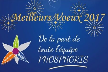 Meilleurs Vœux 2017!