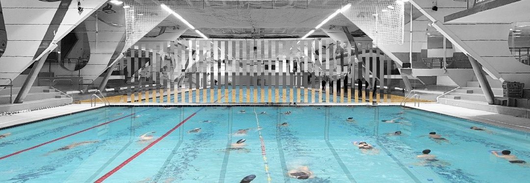 阿兰卡聂绿色实验室获得Charenton-le-pont泳池改造项目